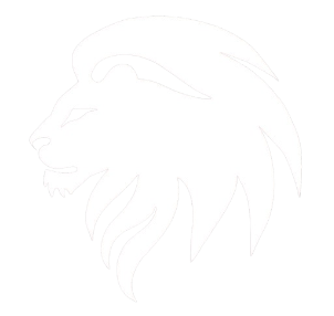 LEO Laptops